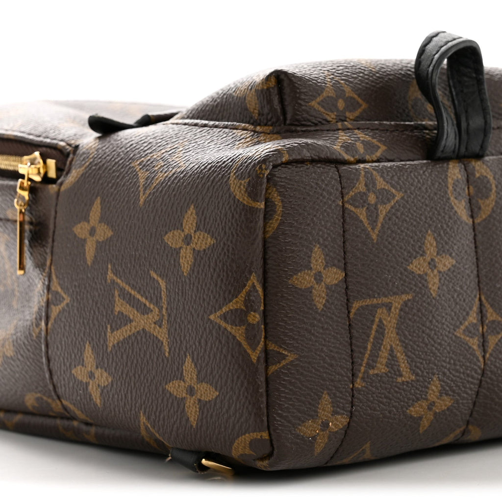 Louis Vuitton Monogram Palm Springs Backpack Mini