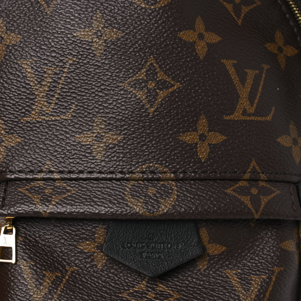 Louis Vuitton Monogram Palm Springs Backpack Mini