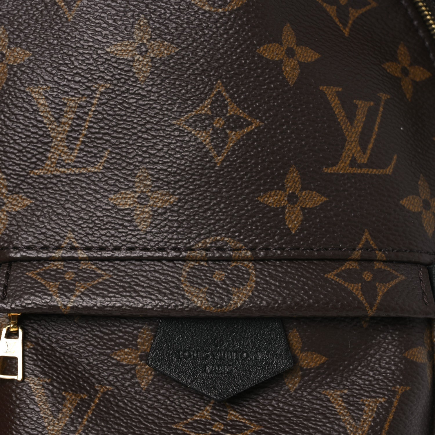 Louis Vuitton Monogram Palm Springs Backpack Mini