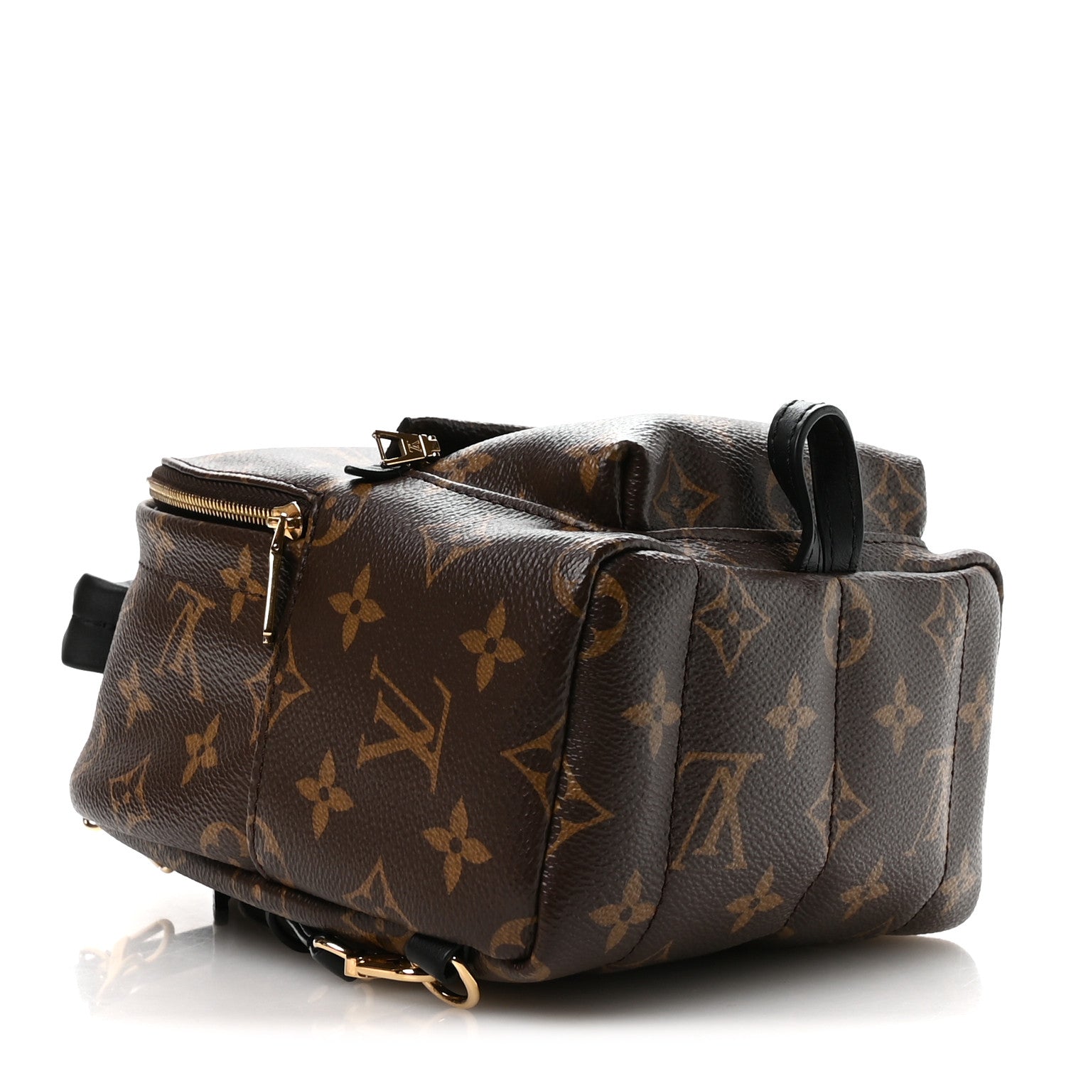 Louis Vuitton Monogram Palm Springs Backpack Mini