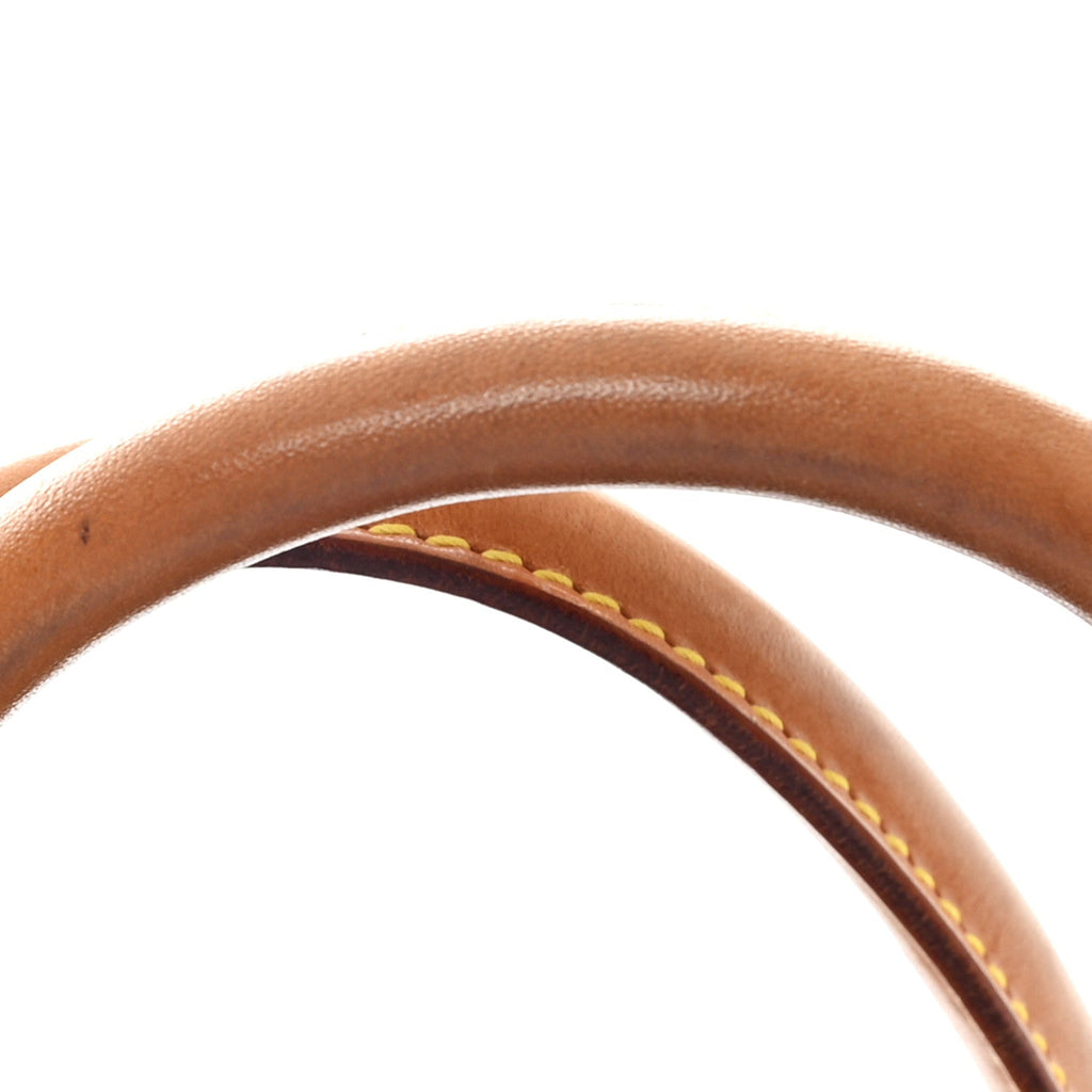 Louis Vuitton Monogram Ellipse MM
