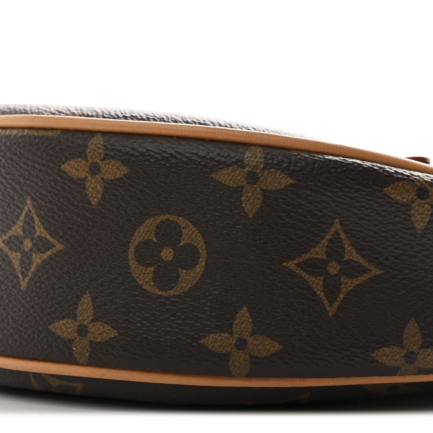 Louis Vuitton Monogram Loop