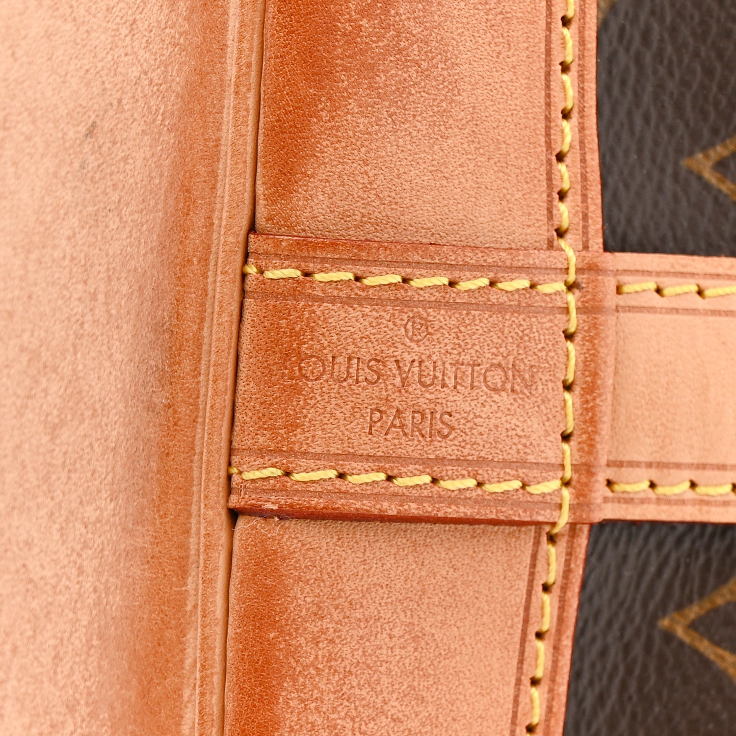 Louis Vuitton Monogram Petit Noe NM