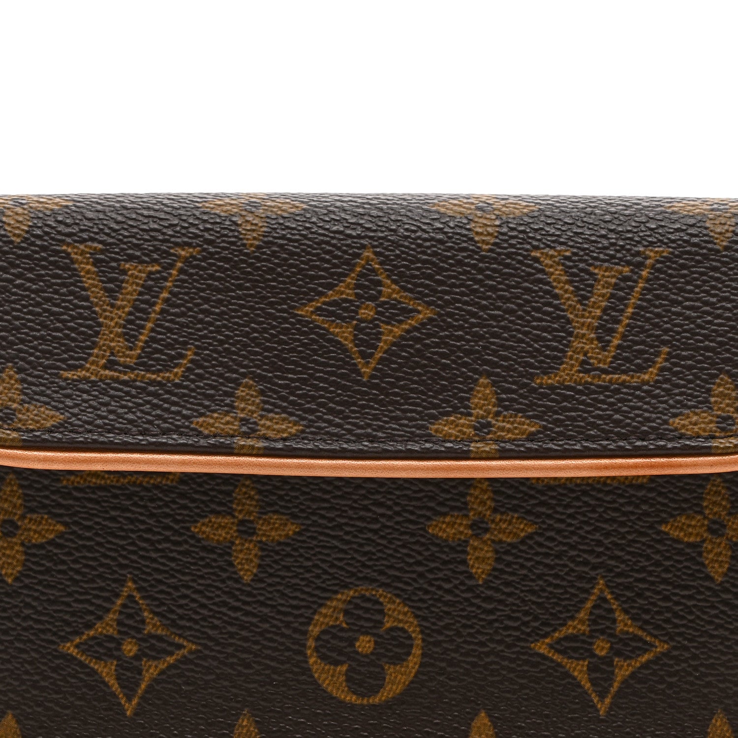 Louis Vuitton Monogram Pochette Florentine S
