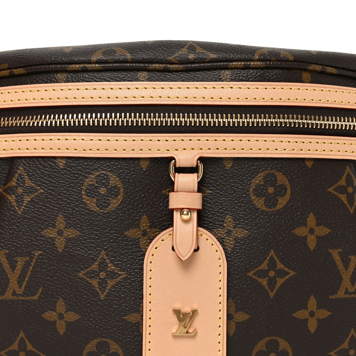Louis Vuitton Monogram High Rise Bumbag