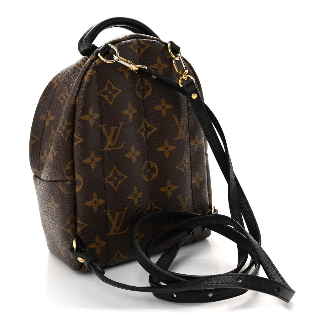 Louis Vuitton Monogram Palm Springs Backpack Mini