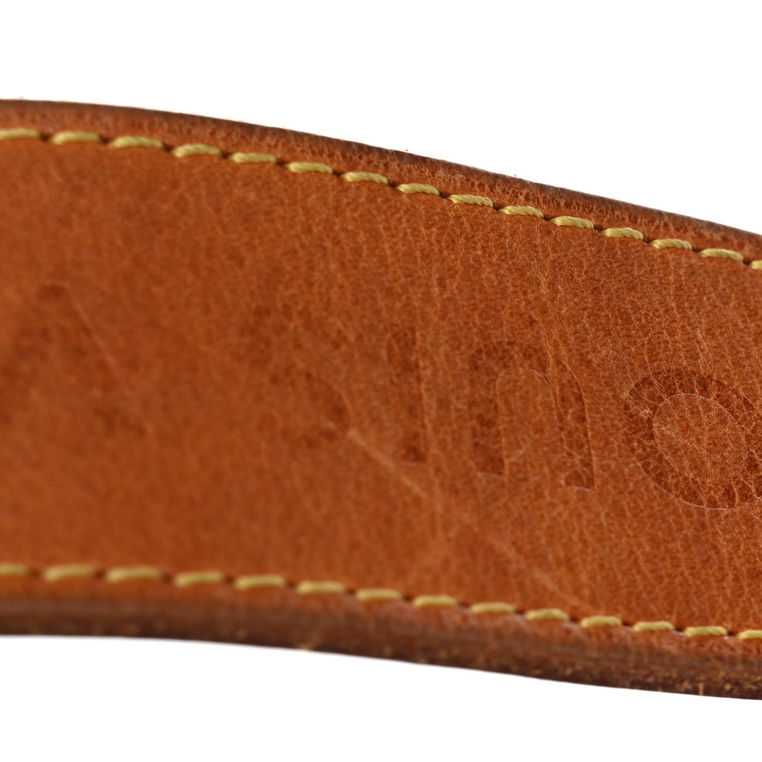 Louis Vuitton Monogram Delightful PM