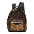 Louis Vuitton Reverse Monogram Palm Springs Backpack PM