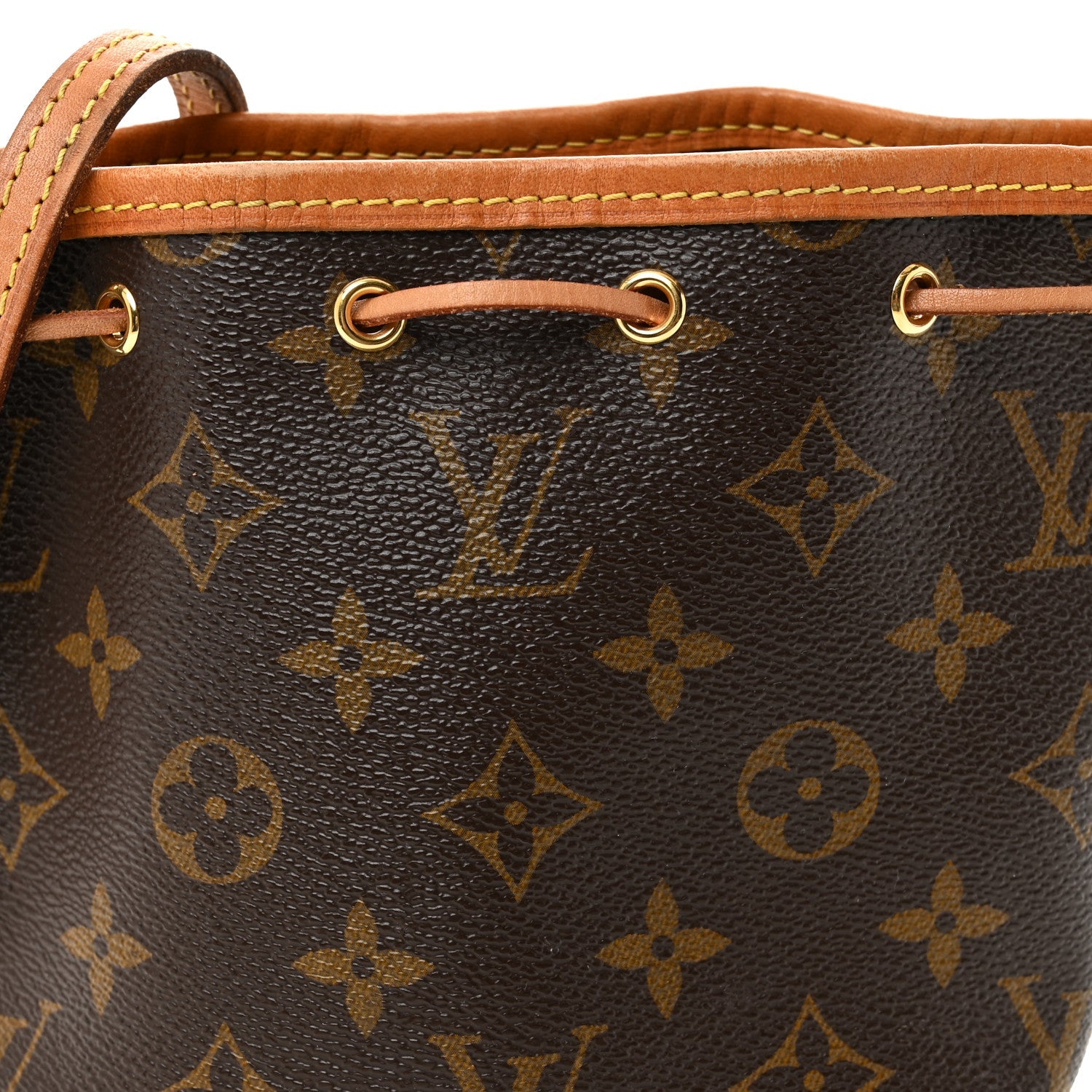 Louis Vuitton Monogram Nano Noe