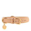 Louis Vuitton LV X TM Monogram Multicolor Dog Collar MM White