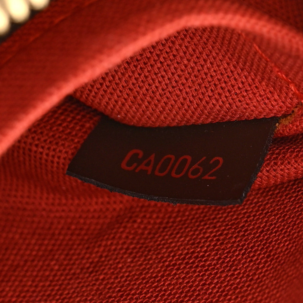 Louis Vuitton Damier Ebene Ribera Mini