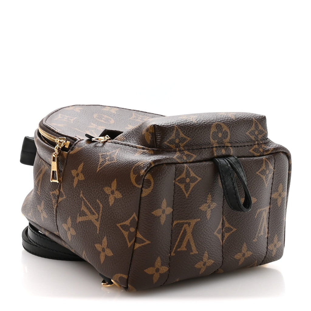 Louis Vuitton Monogram Palm Springs Backpack Mini