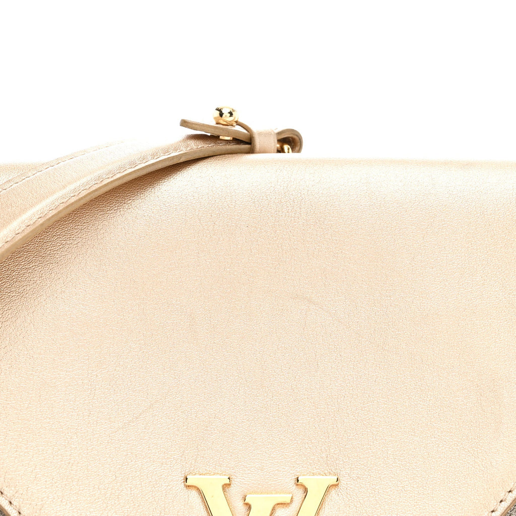 Louis Vuitton Metallic Calfskin Love Note Gold Silver