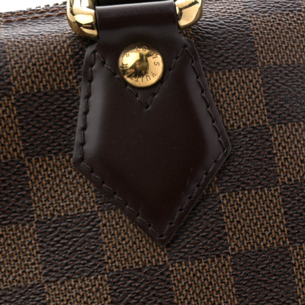 Louis Vuitton Damier Ebene Saleya MM