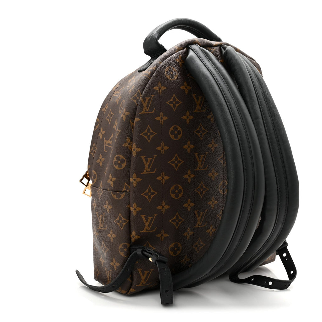 Louis Vuitton Monogram Palm Springs Backpack MM