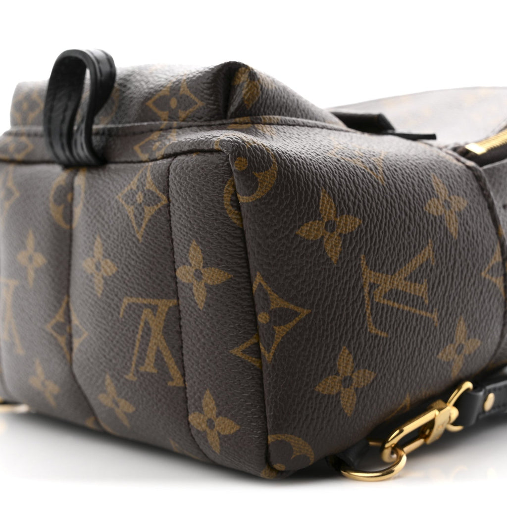 Louis Vuitton Monogram Palm Springs Backpack Mini