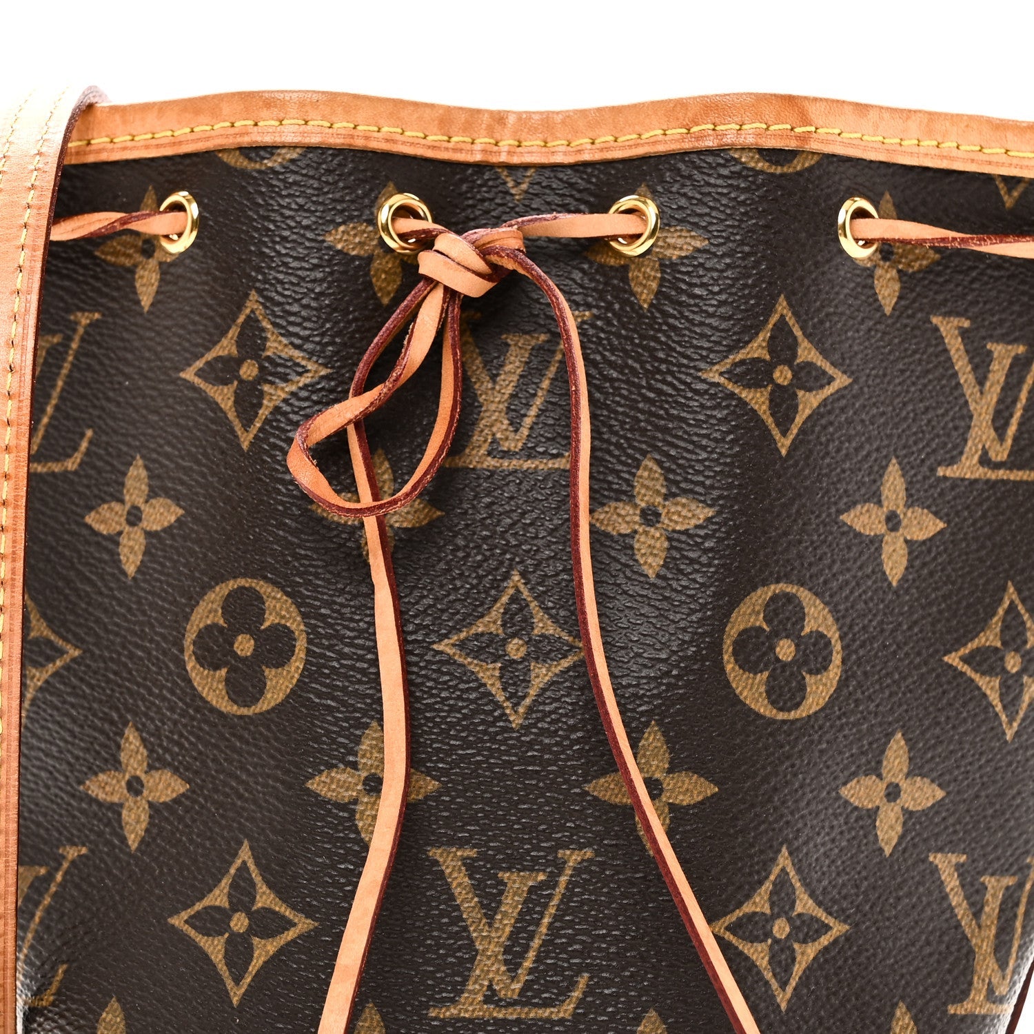 Louis Vuitton Monogram Nano Noe