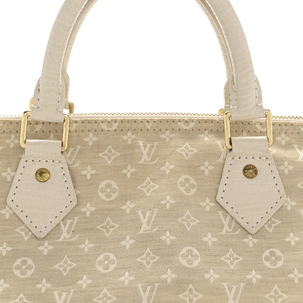 Louis Vuitton Mini Lin Speedy 30 Dune
