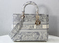 Dior Bags - 4925