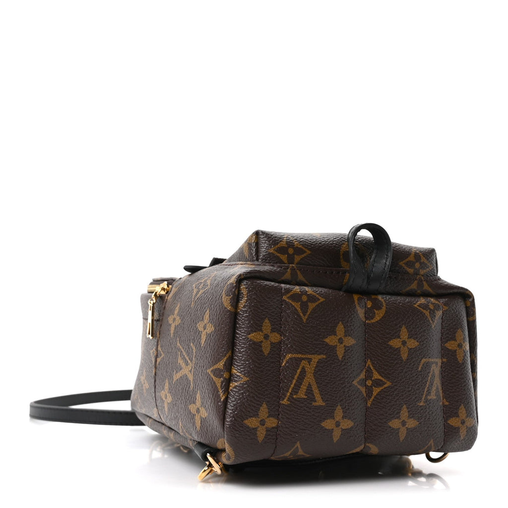 Louis Vuitton Monogram Palm Springs Backpack Mini