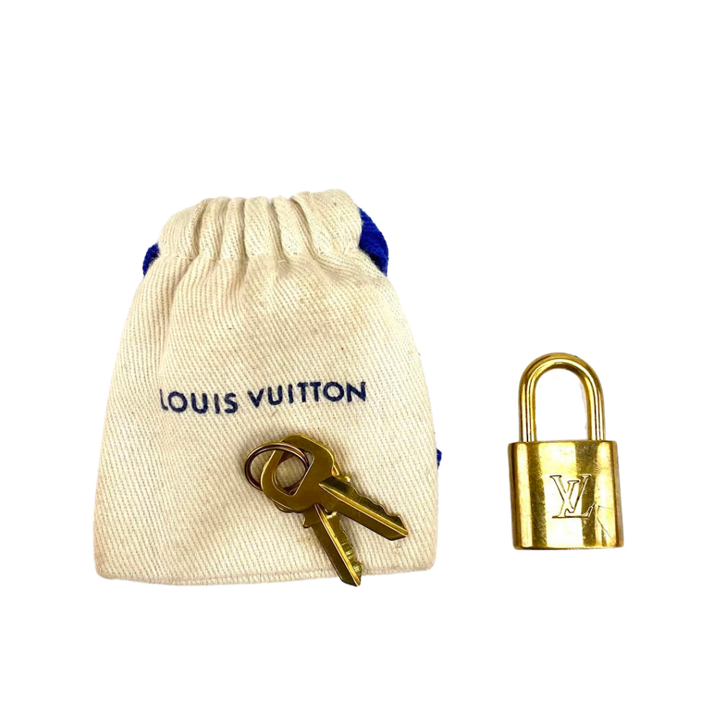 LOUIS VUITTON Speedy 25 Bando Monogram