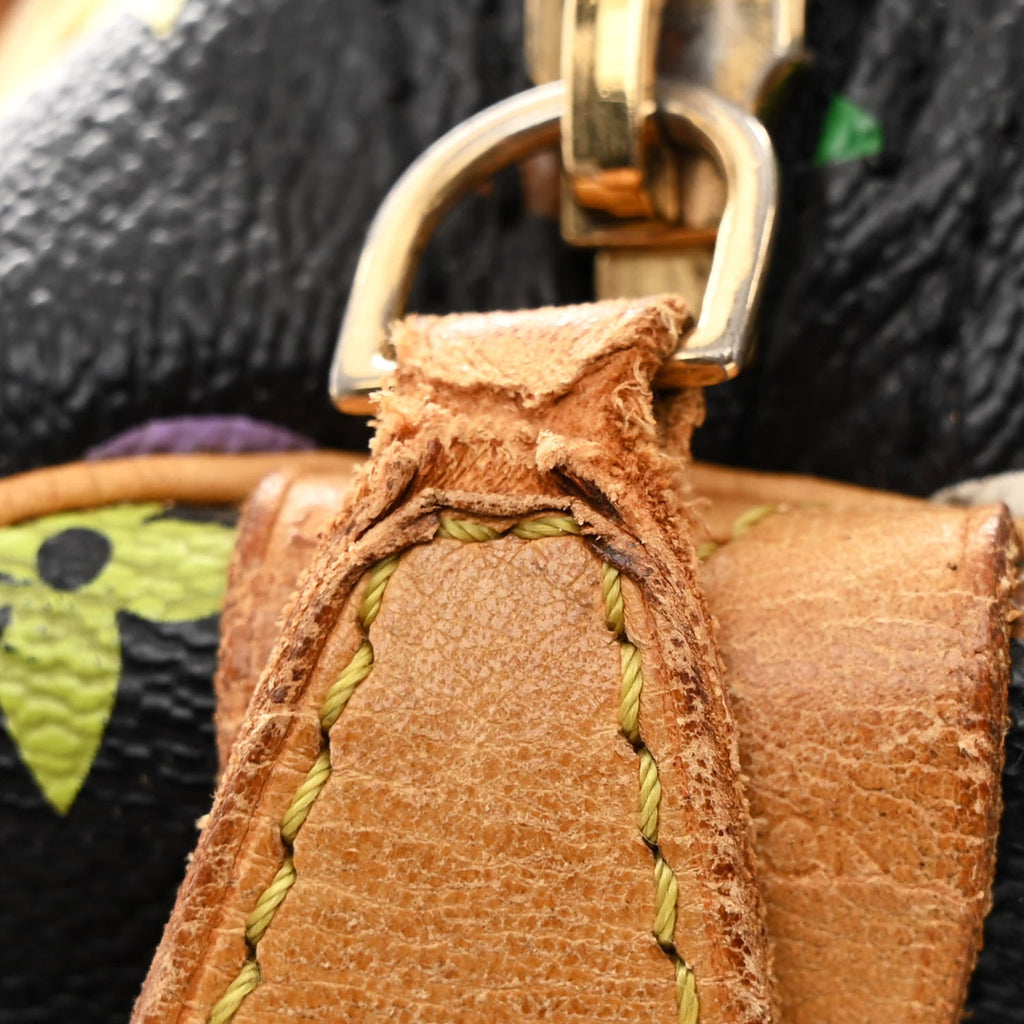 Louis Vuitton Monogram Multicolor Speedy 30 Black