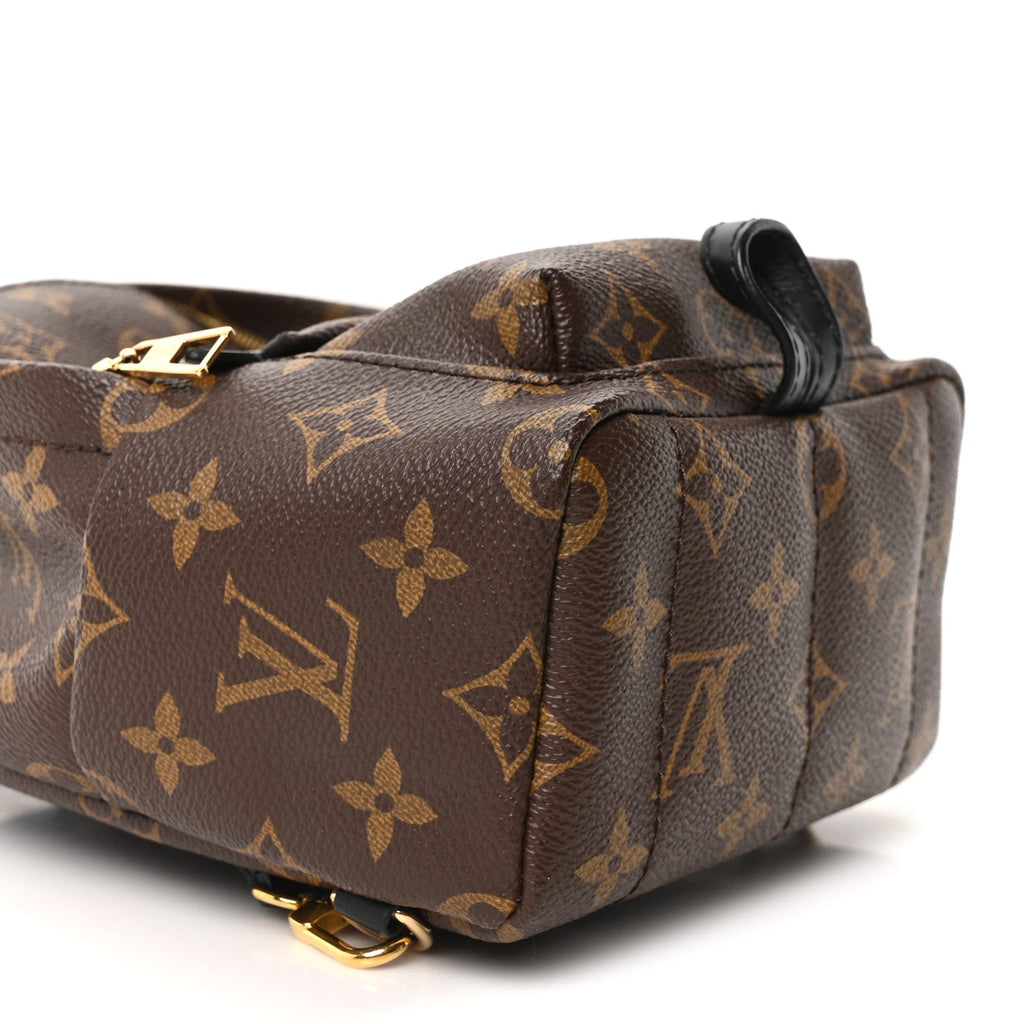 Louis Vuitton Monogram Palm Springs Backpack Mini
