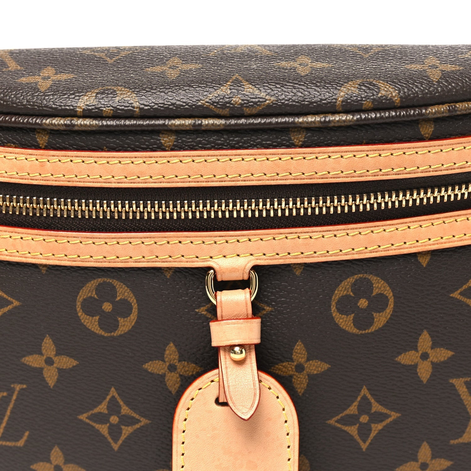 Louis Vuitton Monogram High Rise Bumbag