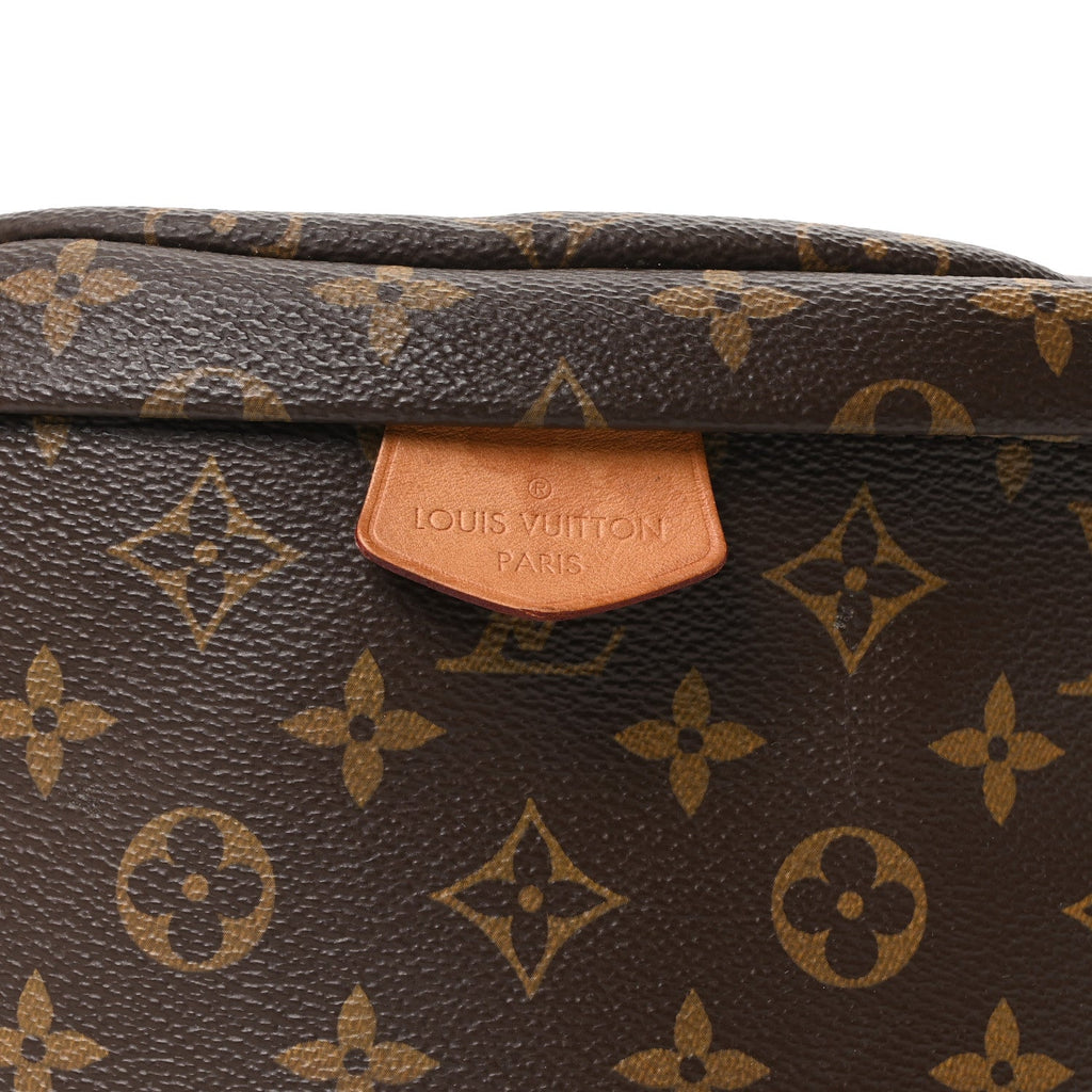 Louis Vuitton Monogram Bumbag