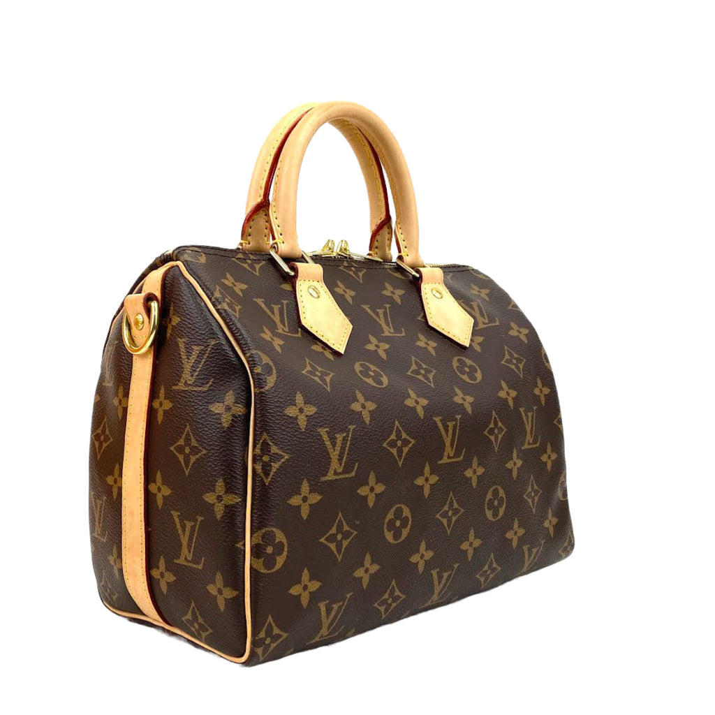 LOUIS VUITTON Speedy 25 Bando Monogram