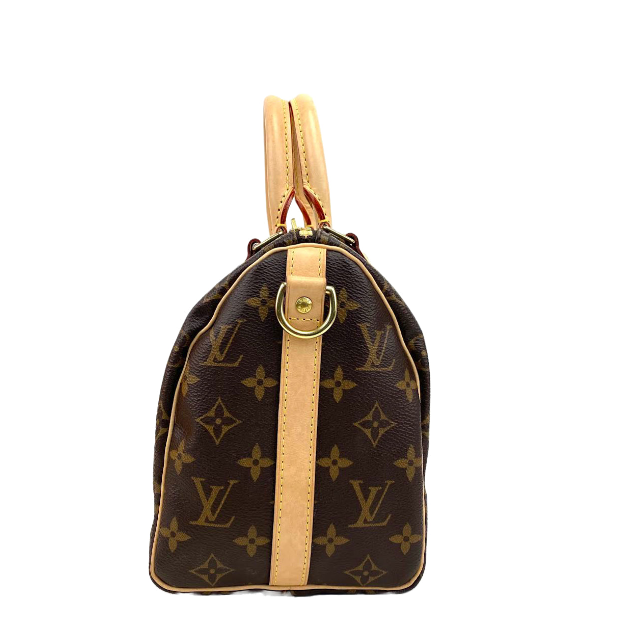 LOUIS VUITTON Speedy 25 Bando Monogram