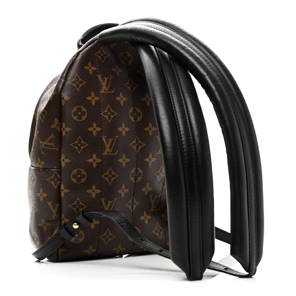 Louis Vuitton Reverse Monogram Palm Springs Backpack PM