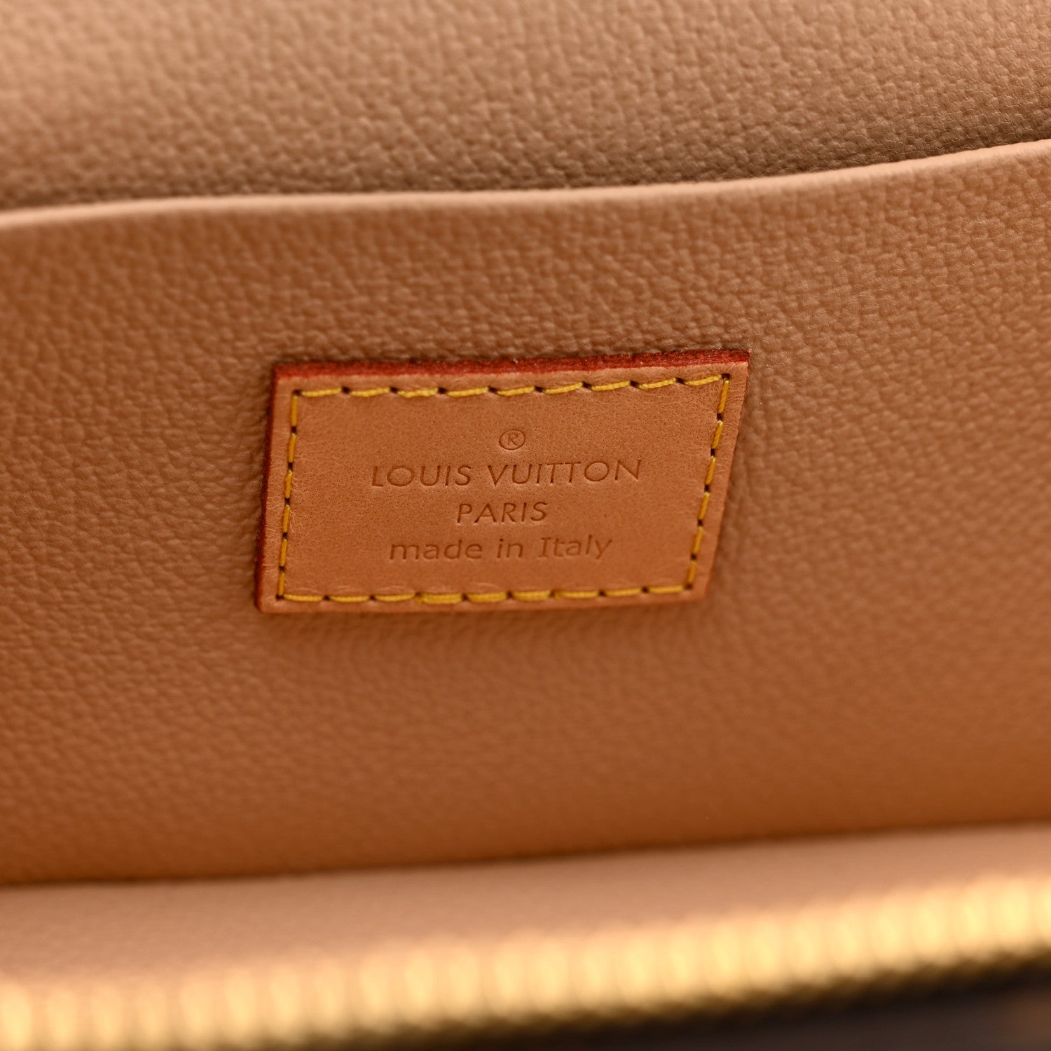 Louis Vuitton Monogram Nice Mini
