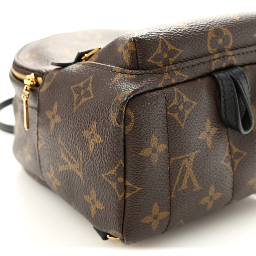 Louis Vuitton Monogram Palm Springs Backpack Mini