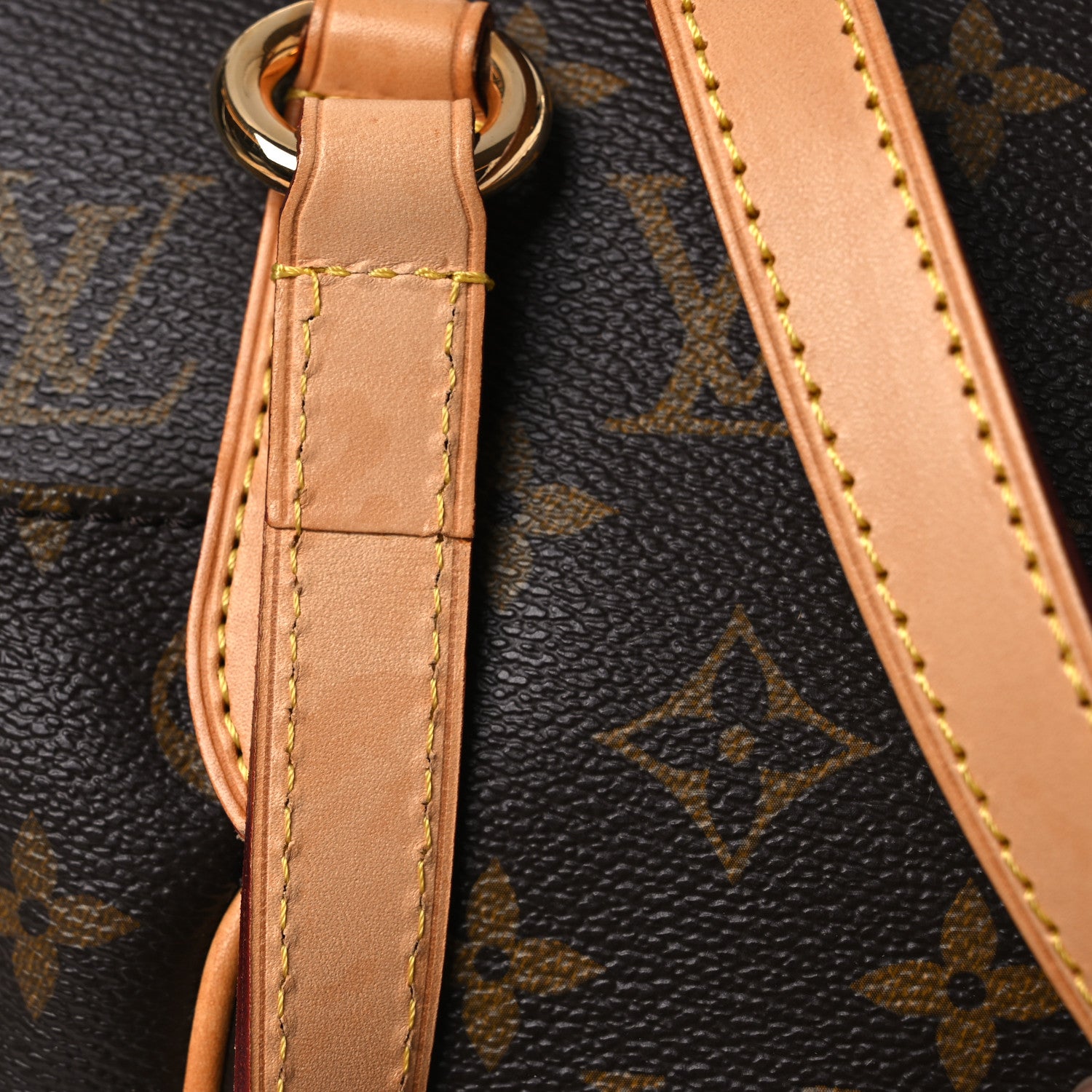 Louis Vuitton Monogram Totally PM