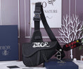 Dior Bags - 3109