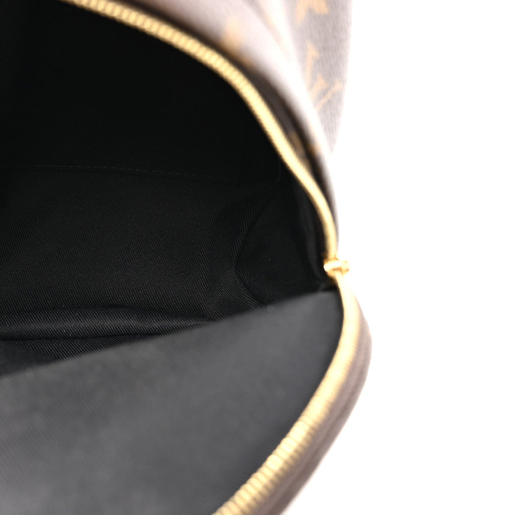 Louis Vuitton Monogram Palm Springs Backpack Mini