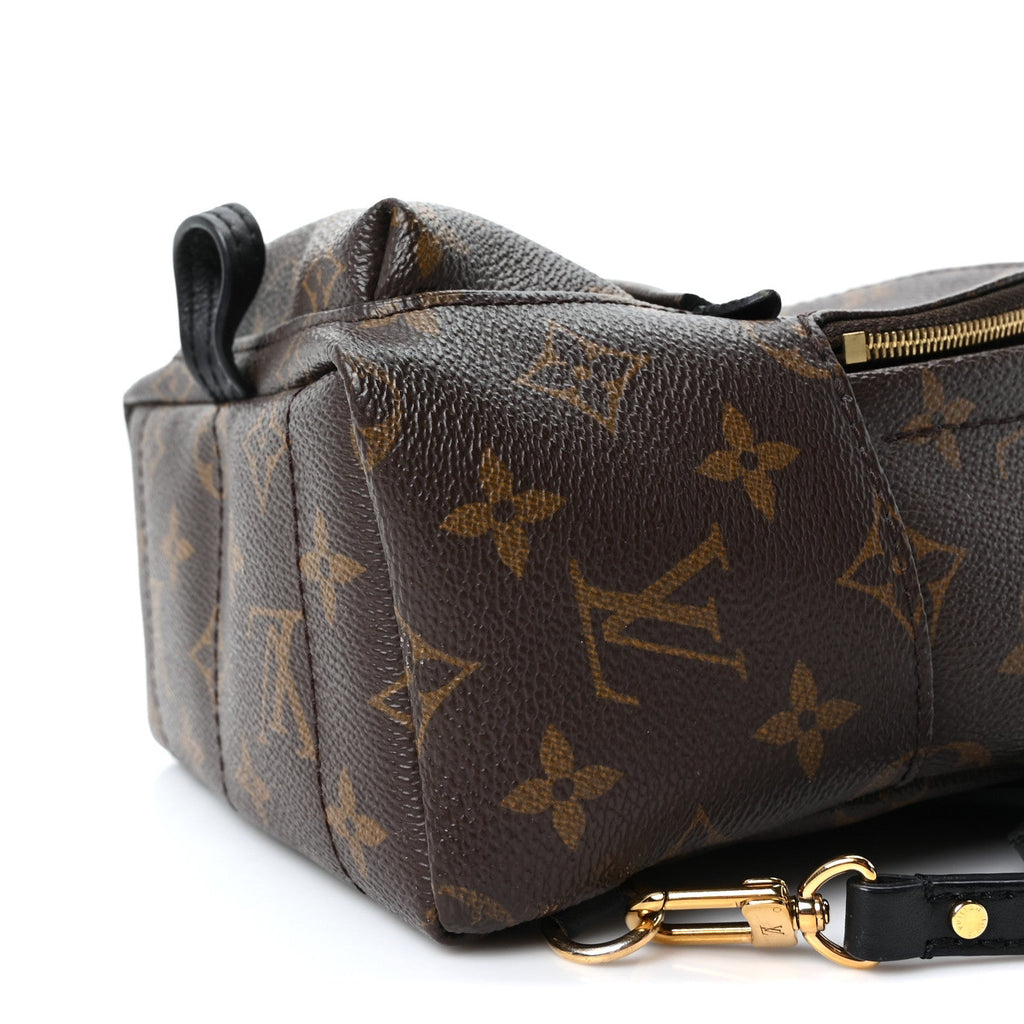 Louis Vuitton Monogram Palm Springs Backpack Mini