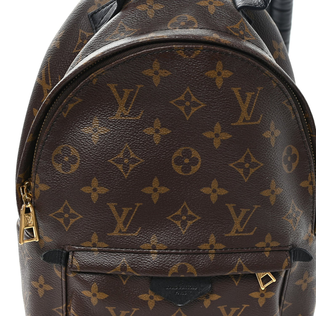 Louis Vuitton Monogram Palm Springs Backpack PM