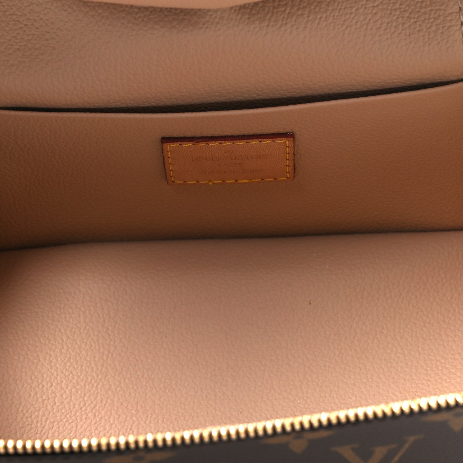 Louis Vuitton Monogram Nice Mini