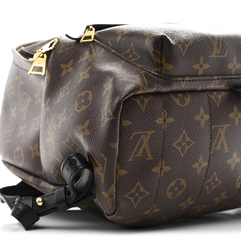 Louis Vuitton Monogram Palm Springs Backpack MM