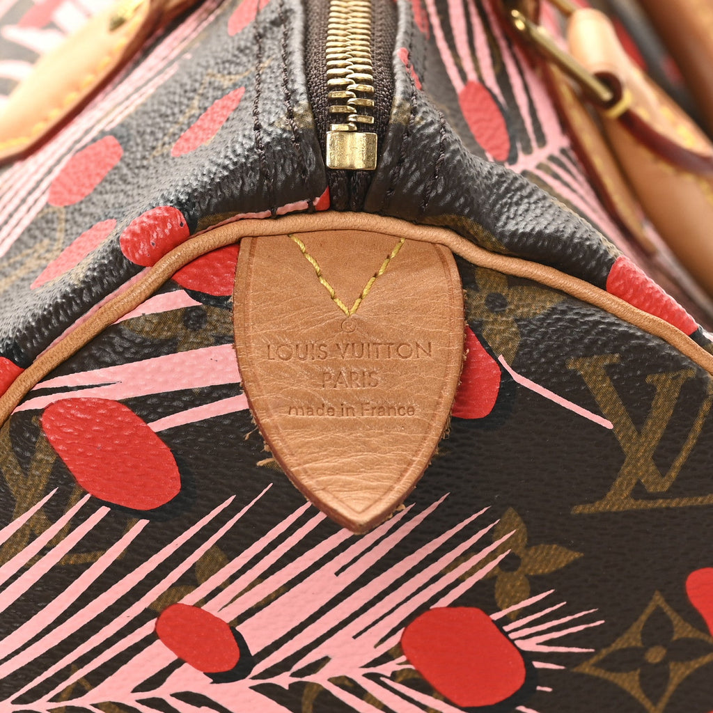 Louis Vuitton Monogram Jungle Dots Speedy 30 Sugar Pink Poppy