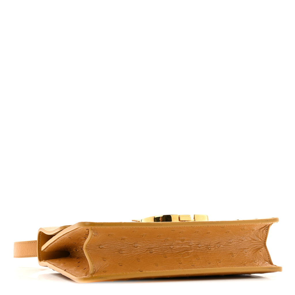 Christian Dior Ostrich 30 Montaigne Flap Bag Brown