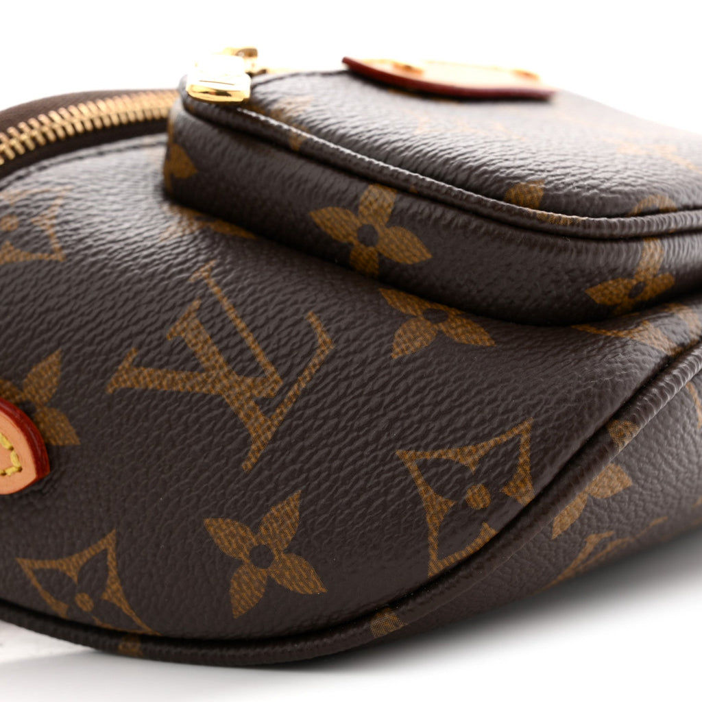 Louis Vuitton Monogram Mini Bumbag