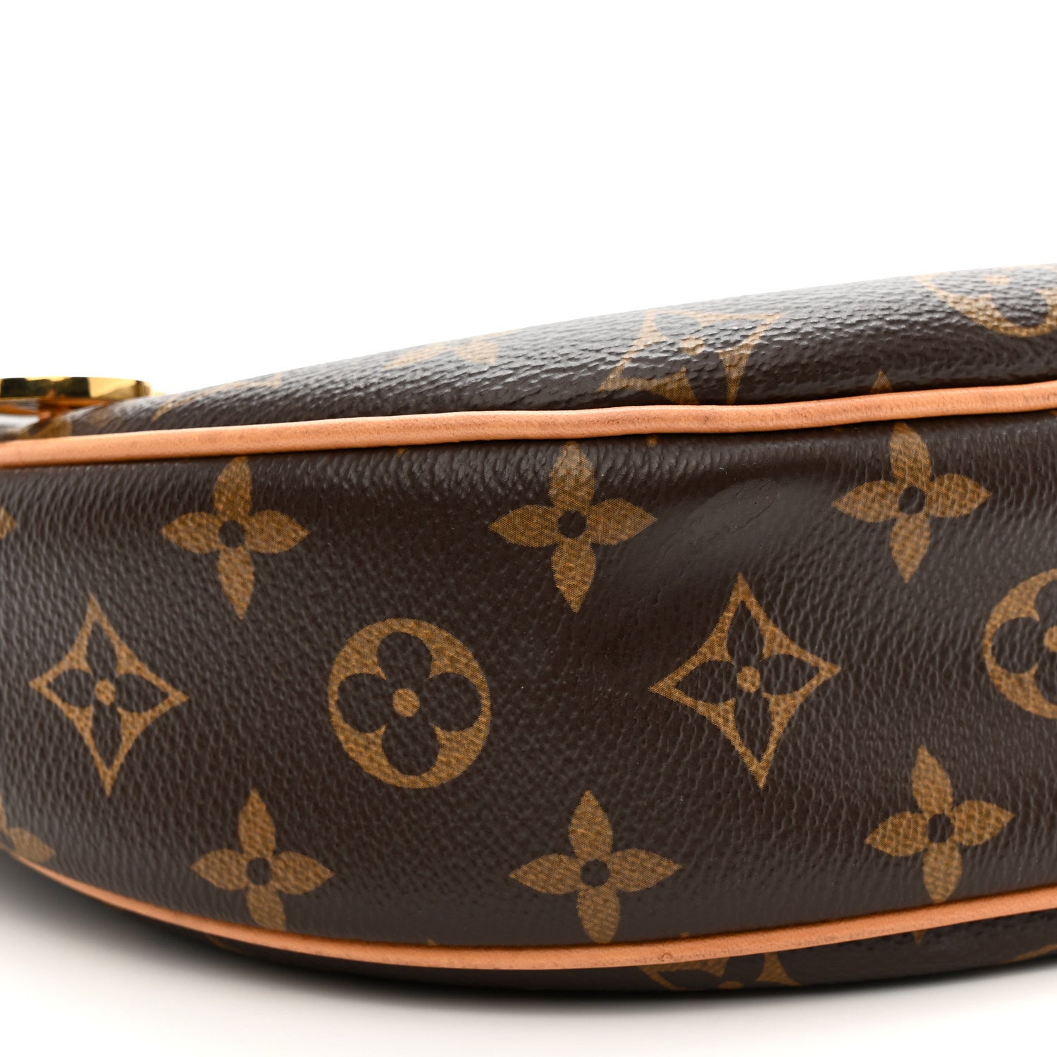 Louis Vuitton Monogram Loop