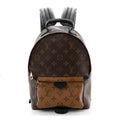 Louis Vuitton Reverse Monogram Palm Springs Backpack PM