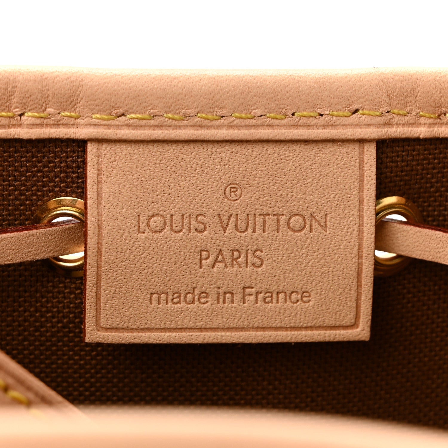 Louis Vuitton Monogram Nano Noe