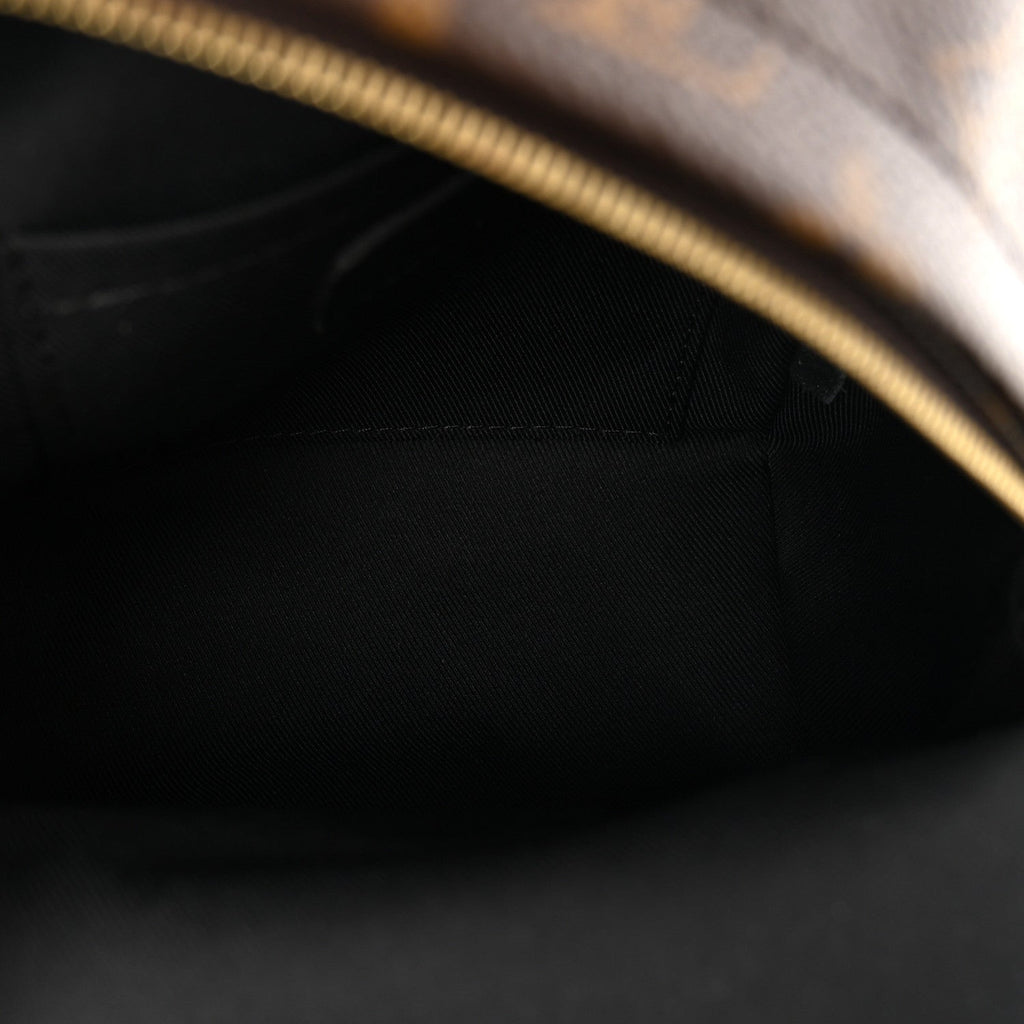 Louis Vuitton Monogram Palm Springs Backpack Mini