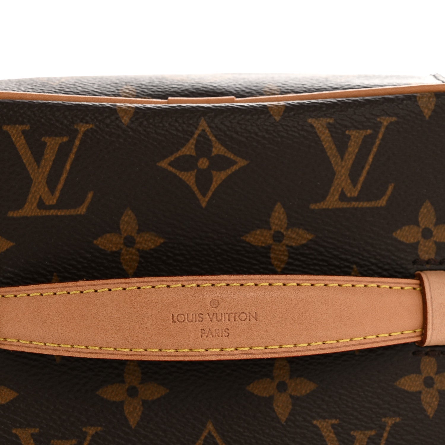 Louis Vuitton Monogram Nice Mini