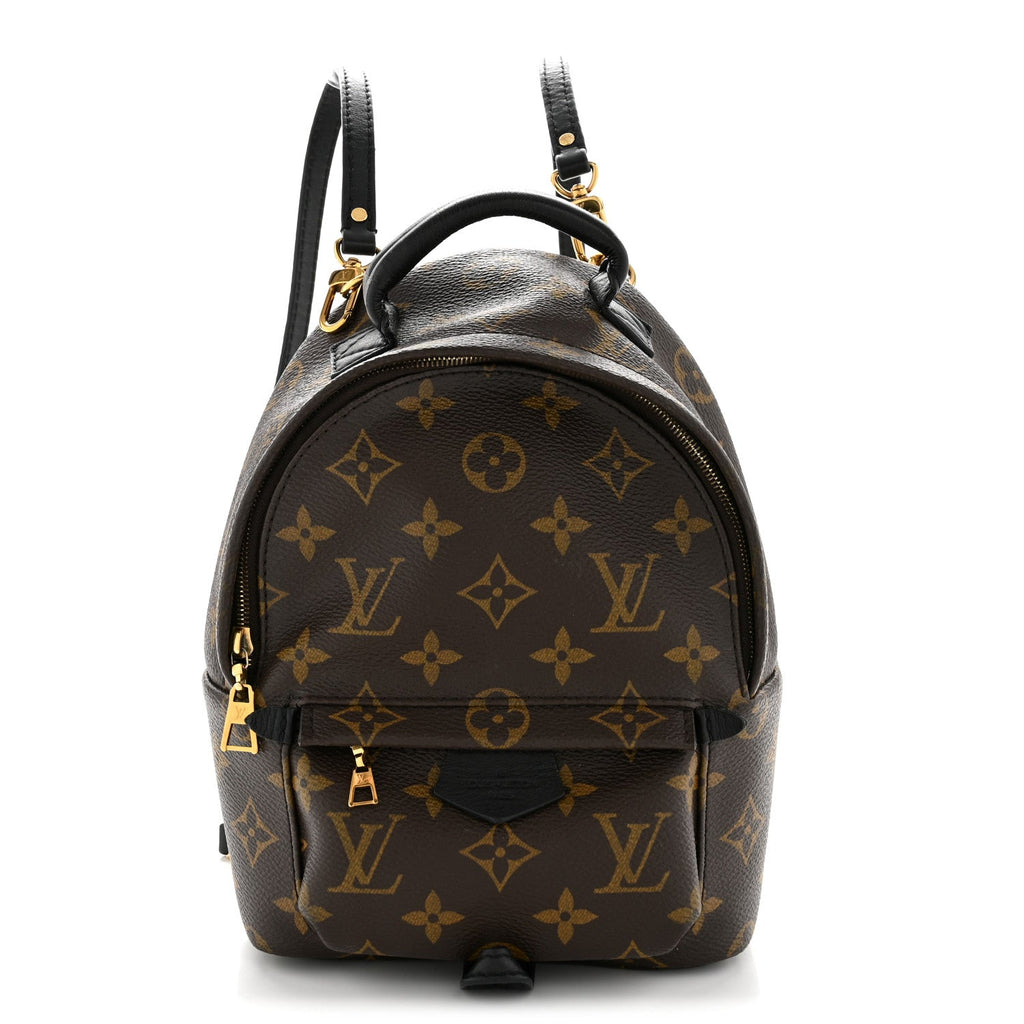 Louis Vuitton Monogram Palm Springs Backpack Mini